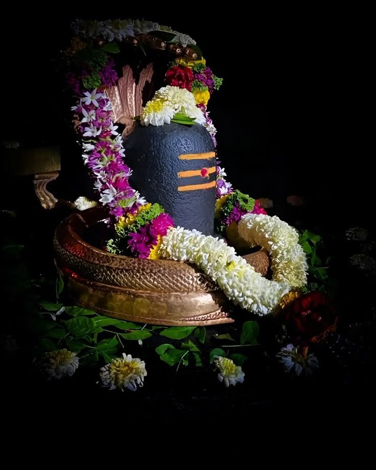 Rudrabhishek Puja Bangalore